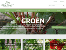 Tablet Screenshot of dvplant.be